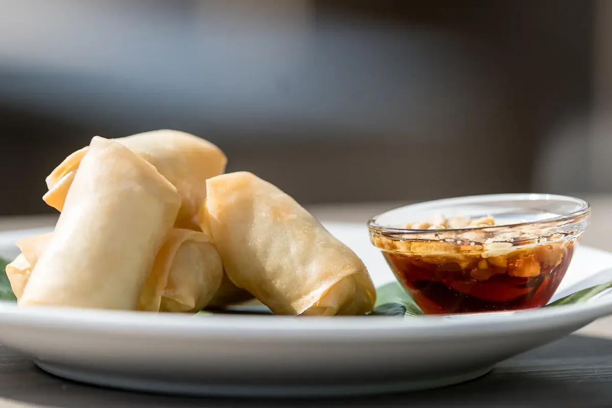 Knusprige Frühlingsrollen mit Sauce
